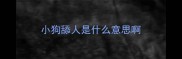 小狗舔人是什么意思啊