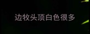 边牧头顶白色很多