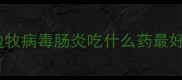 边牧病毒肠炎吃什么药最好