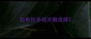 拉布拉多幼犬粮选择