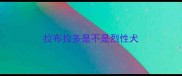 拉布拉多是不是烈性犬