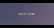 拉布拉多犬大便很臭