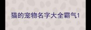 猫的宠物名字大全霸气
