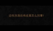 边牧洗澡后有皮屑怎么回事