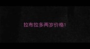拉布拉多两岁价格