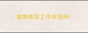 宠物美容工作好找吗