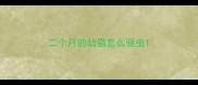 二个月的幼猫怎么驱虫