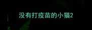 没有打疫苗的小猫