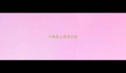 小狗身上很多白色