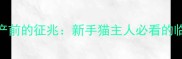 猫咪生产前的征兆新手猫主人必看的临产指南
