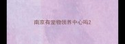 南京有宠物领养中心吗