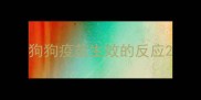 狗狗疫苗生效的反应