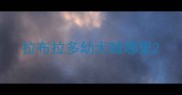 拉布拉多幼犬睡哪里