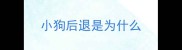 小狗后退是为什么
