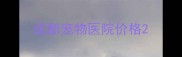 成都宠物医院价格