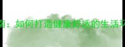 泰迪犬科学饲养指南如何打造健康舒适的生活环境与日常养护要点