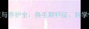 六个月泰迪犬的毛发长度与养护全换毛期特征科学修剪指南及健康管理方案