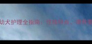三个月大茶杯泰迪幼犬护理全指南性格特点喂养要点及健康注意事项