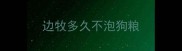 边牧多久不泡狗粮