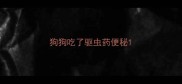 狗狗吃了驱虫药便秘