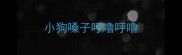 小狗嗓子呼噜呼噜