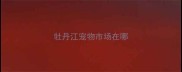 牡丹江宠物市场在哪
