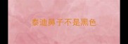 泰迪鼻子不是黑色