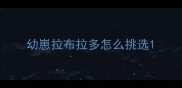 幼崽拉布拉多怎么挑选