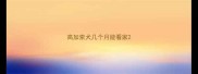 高加索犬几个月能看家