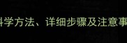 狗狗疫苗注射全攻略科学方法详细步骤及注意事项附疫苗种类对比