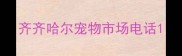 齐齐哈尔宠物市场电话