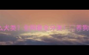 哈士奇是什么犬类全网最全分类养狗前必看干货篇