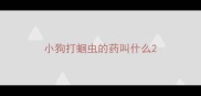 小狗打蛔虫的药叫什么
