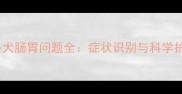 拉布拉多犬肠胃问题全症状识别与科学护理指南