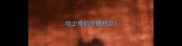 哈士奇的外貌特点