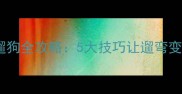 新手必看拉布拉多遛狗全攻略5大技巧让遛弯变快乐附附喂食指南