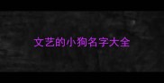 文艺的小狗名字大全