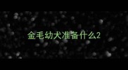 金毛幼犬准备什么