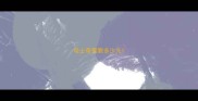哈士奇需要多少元