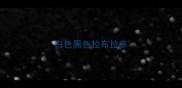 白色黑色拉布拉多