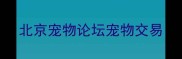 北京宠物论坛宠物交易