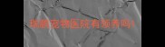瑞鹏宠物医院有领养吗