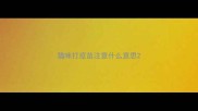 猫咪打疫苗注意什么意思