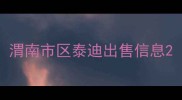 渭南市区泰迪出售信息