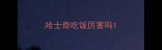 哈士奇吃饭厉害吗