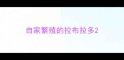 自家繁殖的拉布拉多
