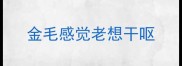 金毛感觉老想干呕