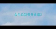 金毛自制营养食谱
