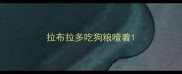 拉布拉多吃狗粮噎着