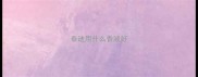 泰迪用什么香波好